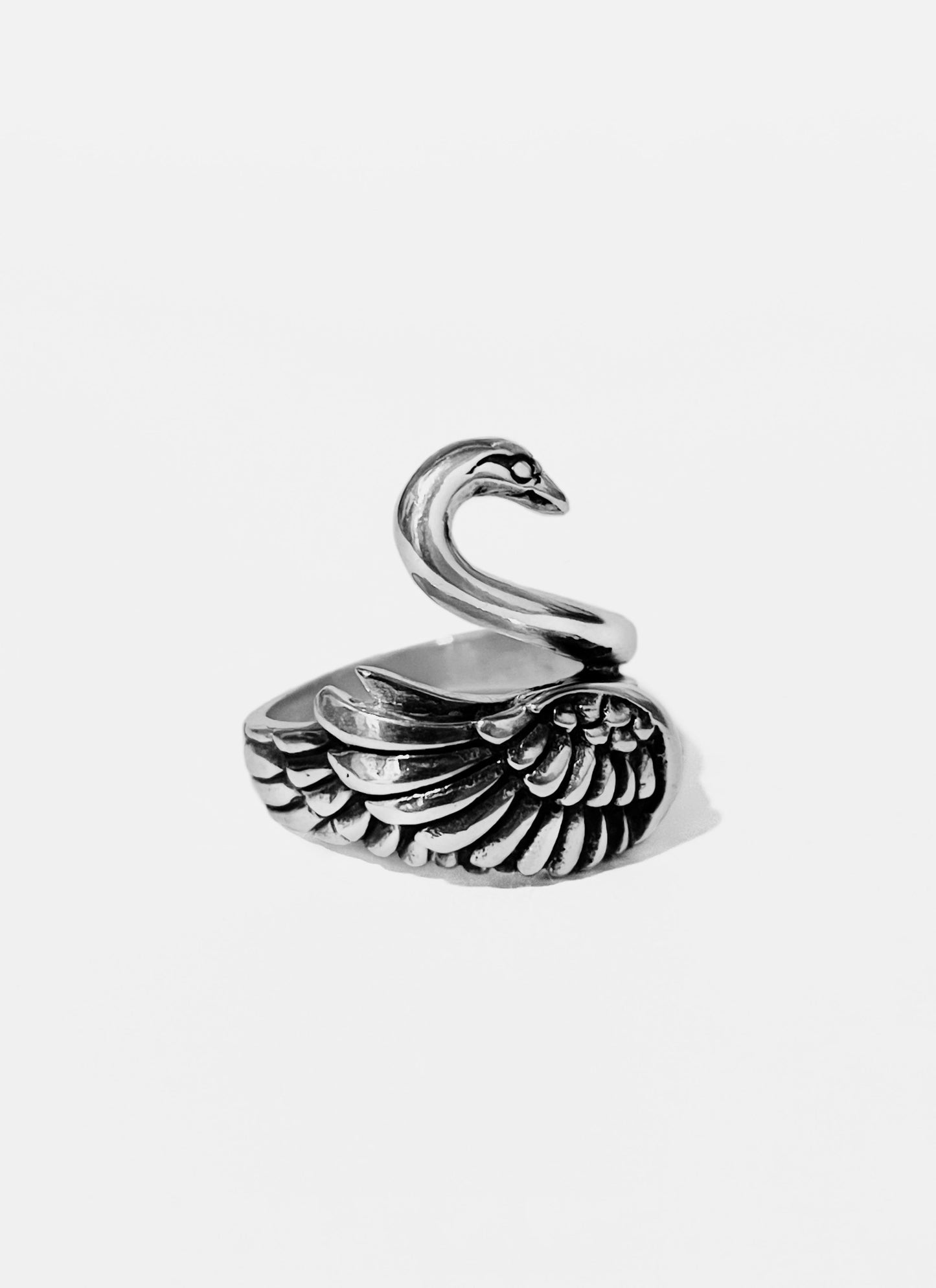 Anillo Cisne