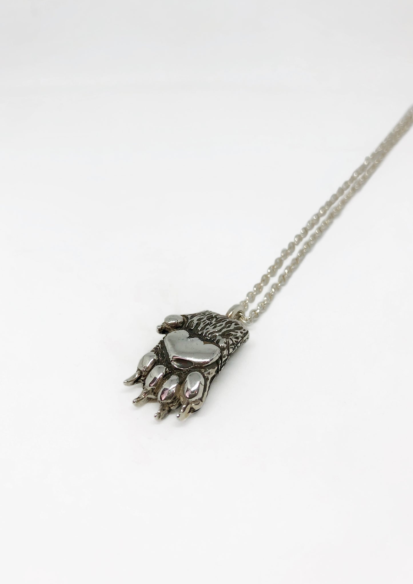 Collar Garra de tigre