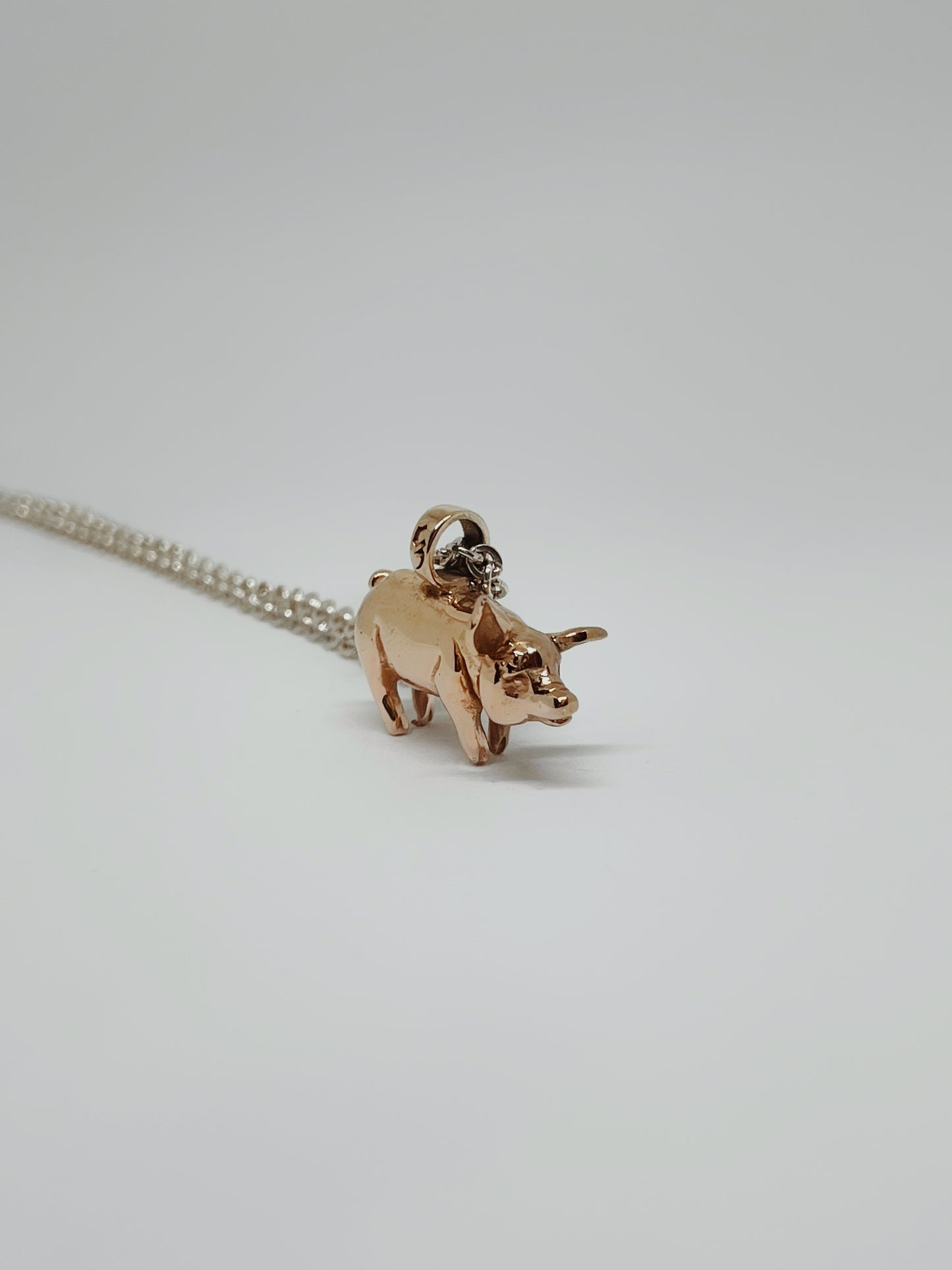 Collar Cerdo