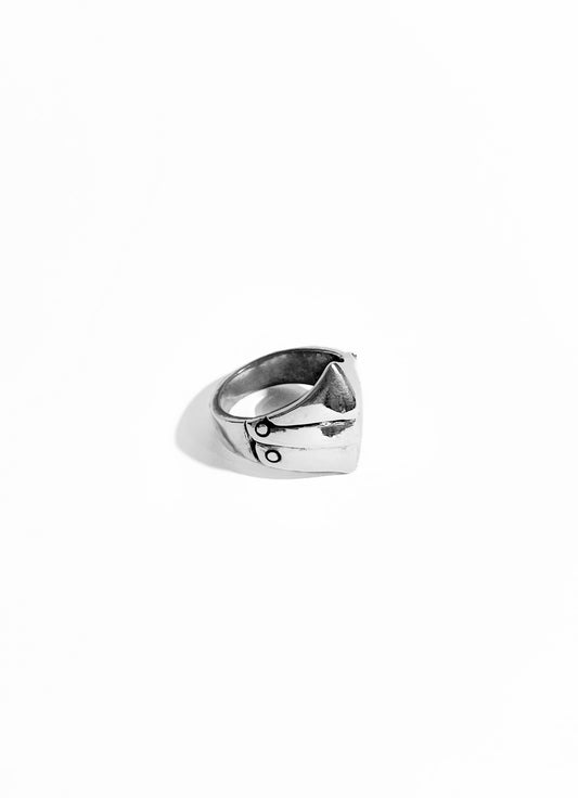 Anillo Armadura