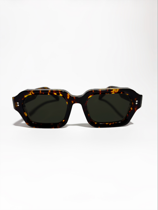 Cruzada x Taxxon Tortoise