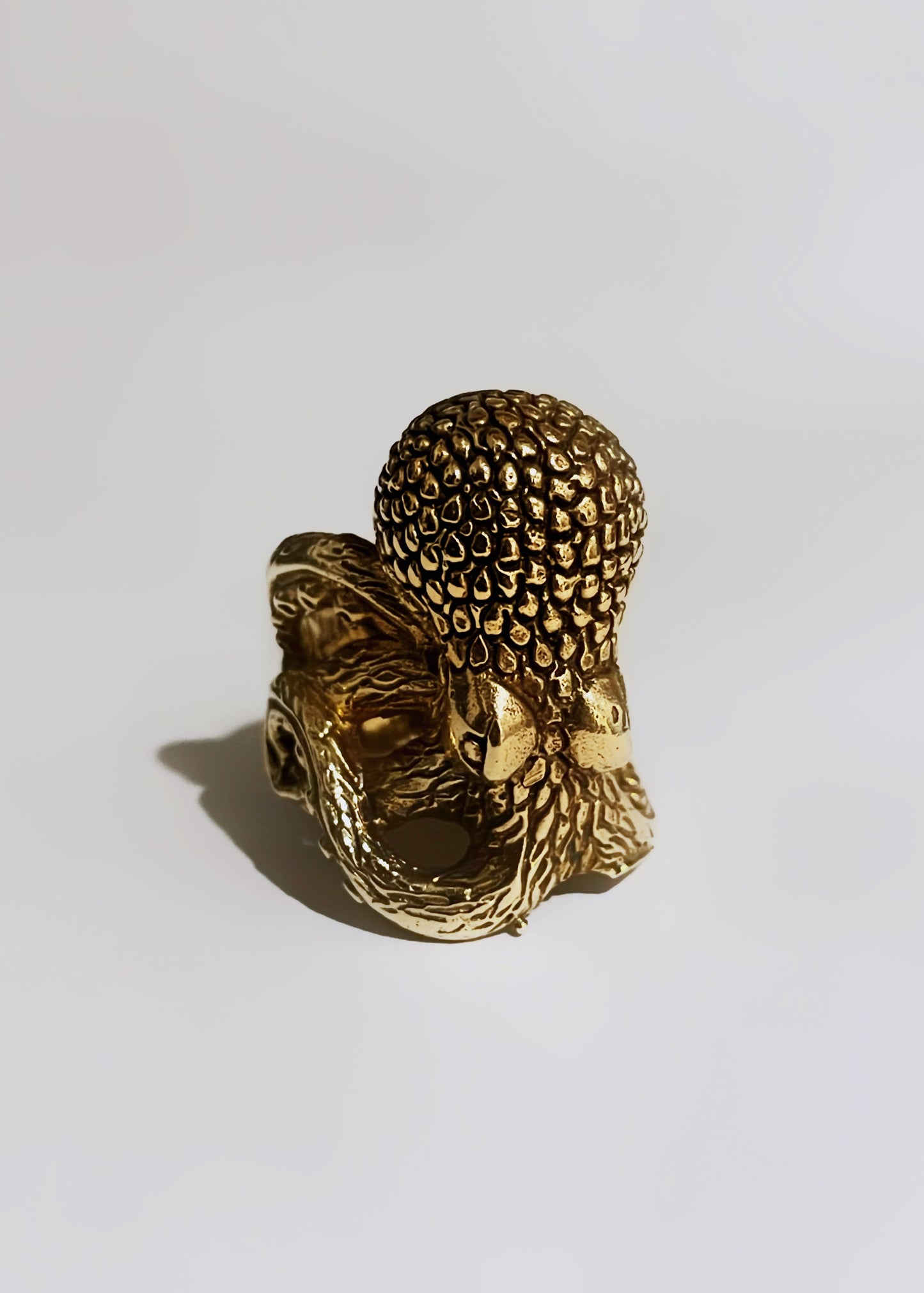 Anillo Pulpo