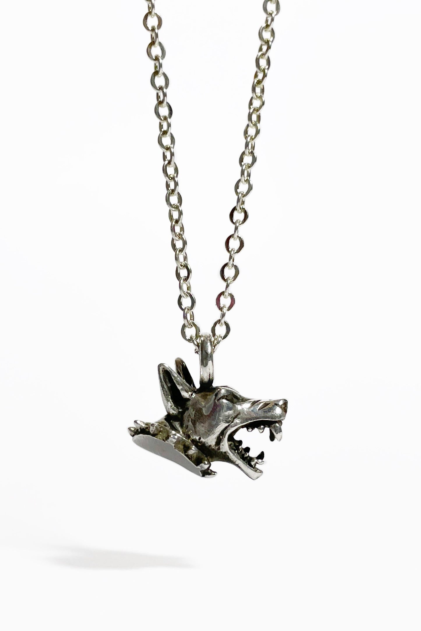 Collar Doberman