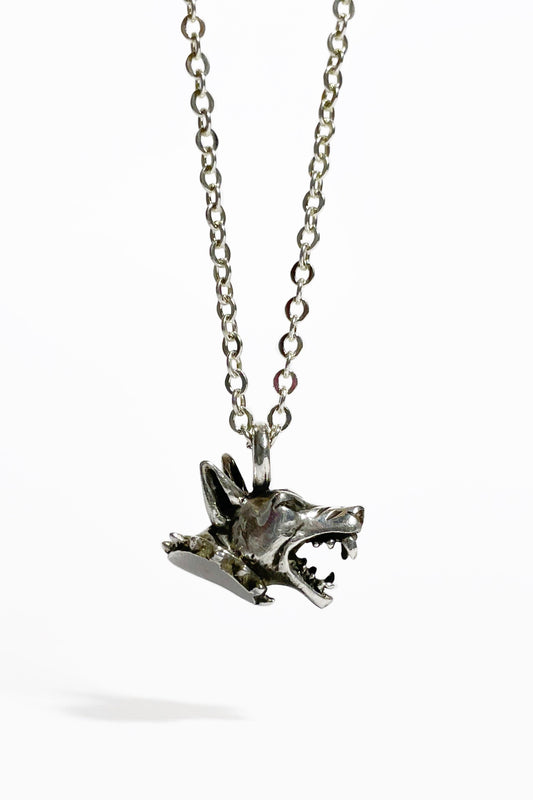 Collar Doberman