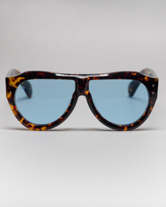 Cruzada x Taxxon Tortoise