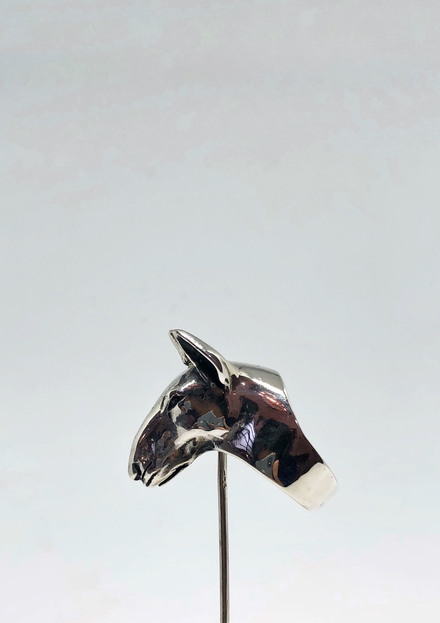 Anillo Bull Terrier