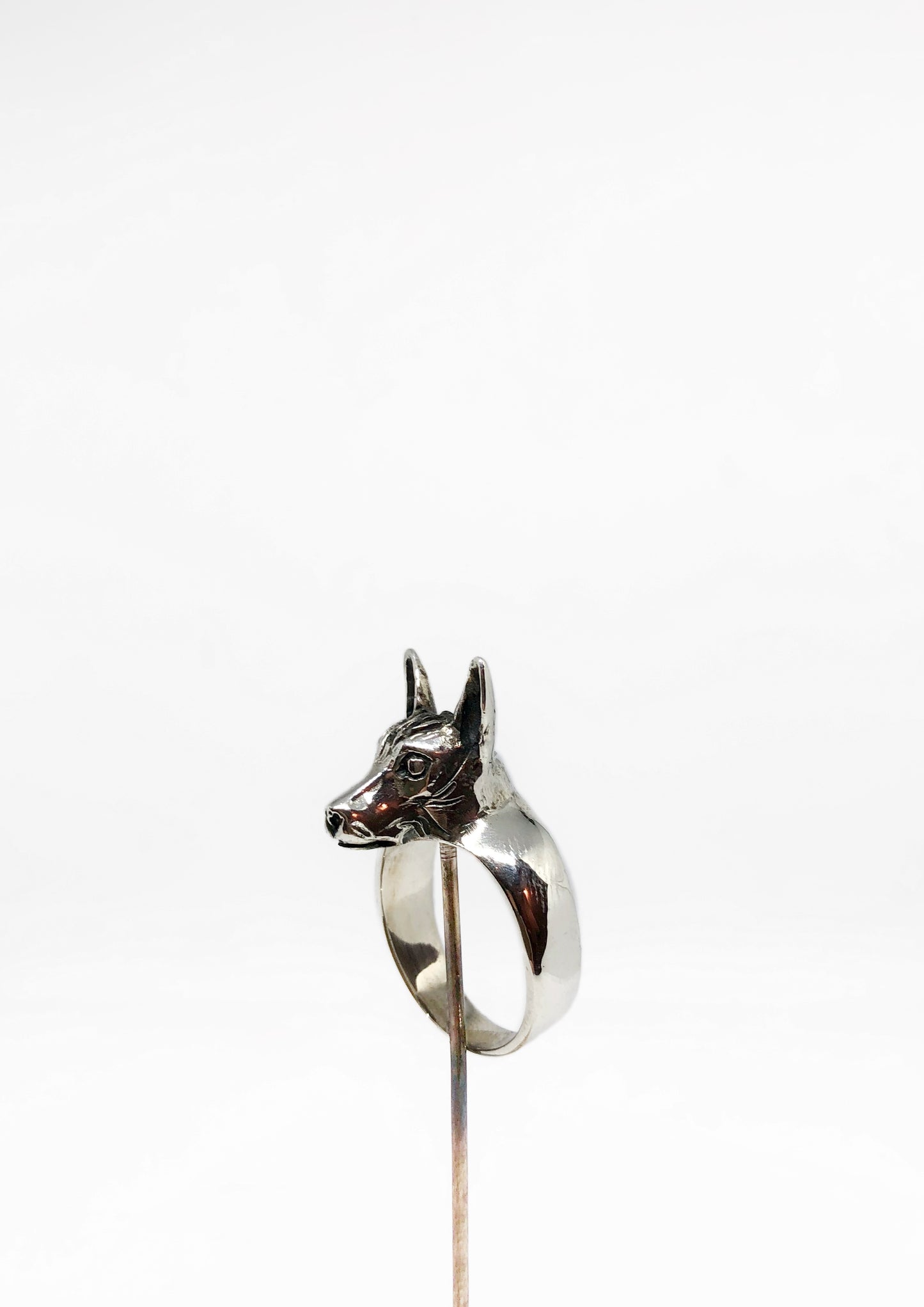 Anillo Xoloitzcuintle