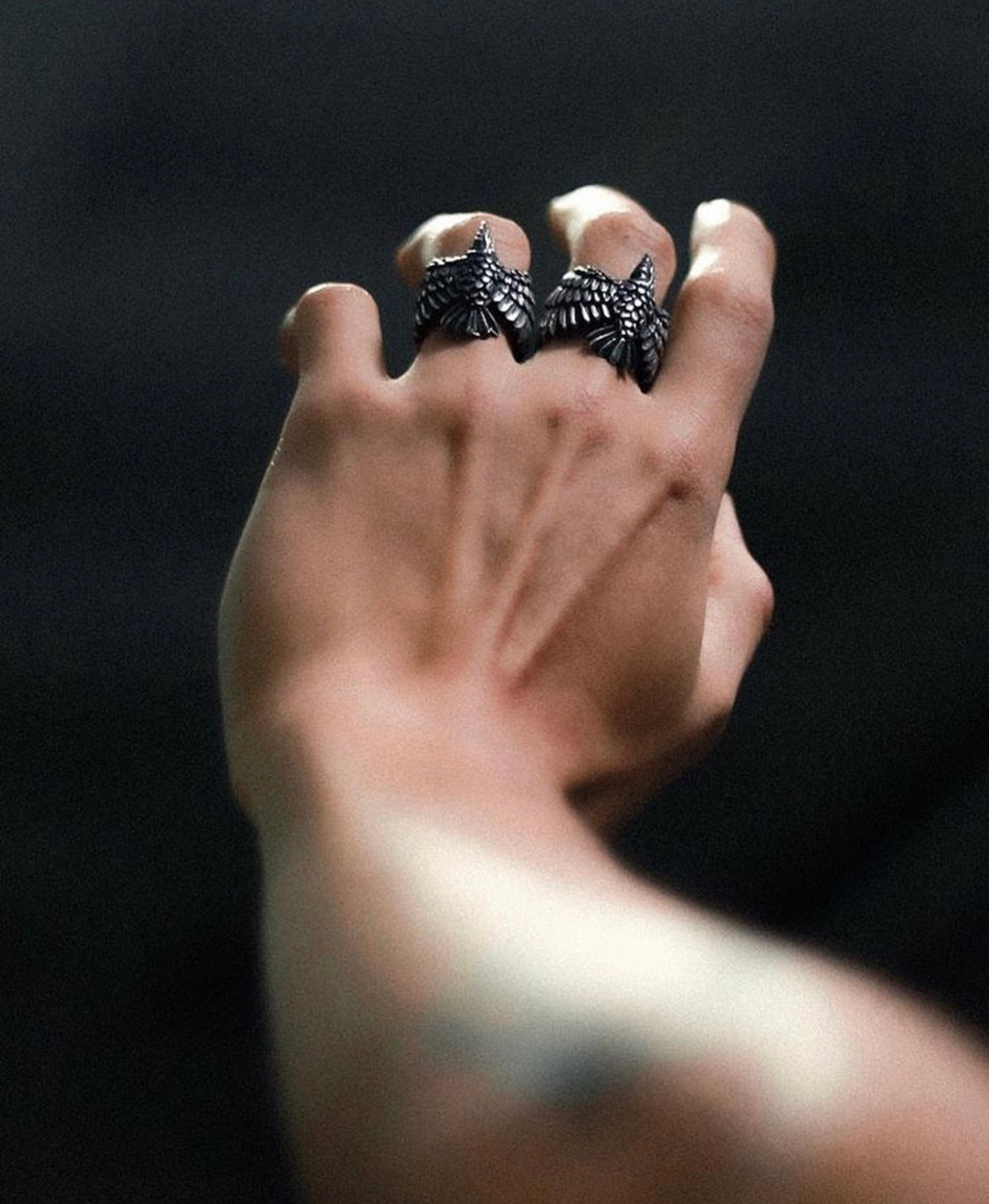 Anillo Cuervo Cráneo