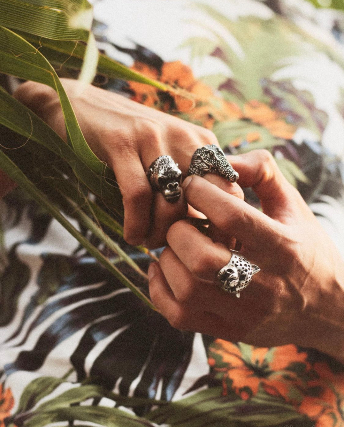 Anillo Jaguar
