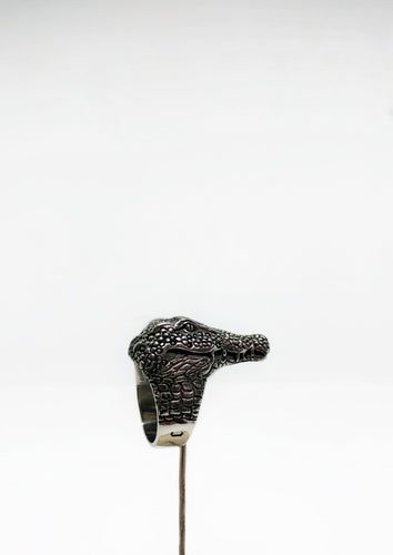 Anillo Cocodrilo