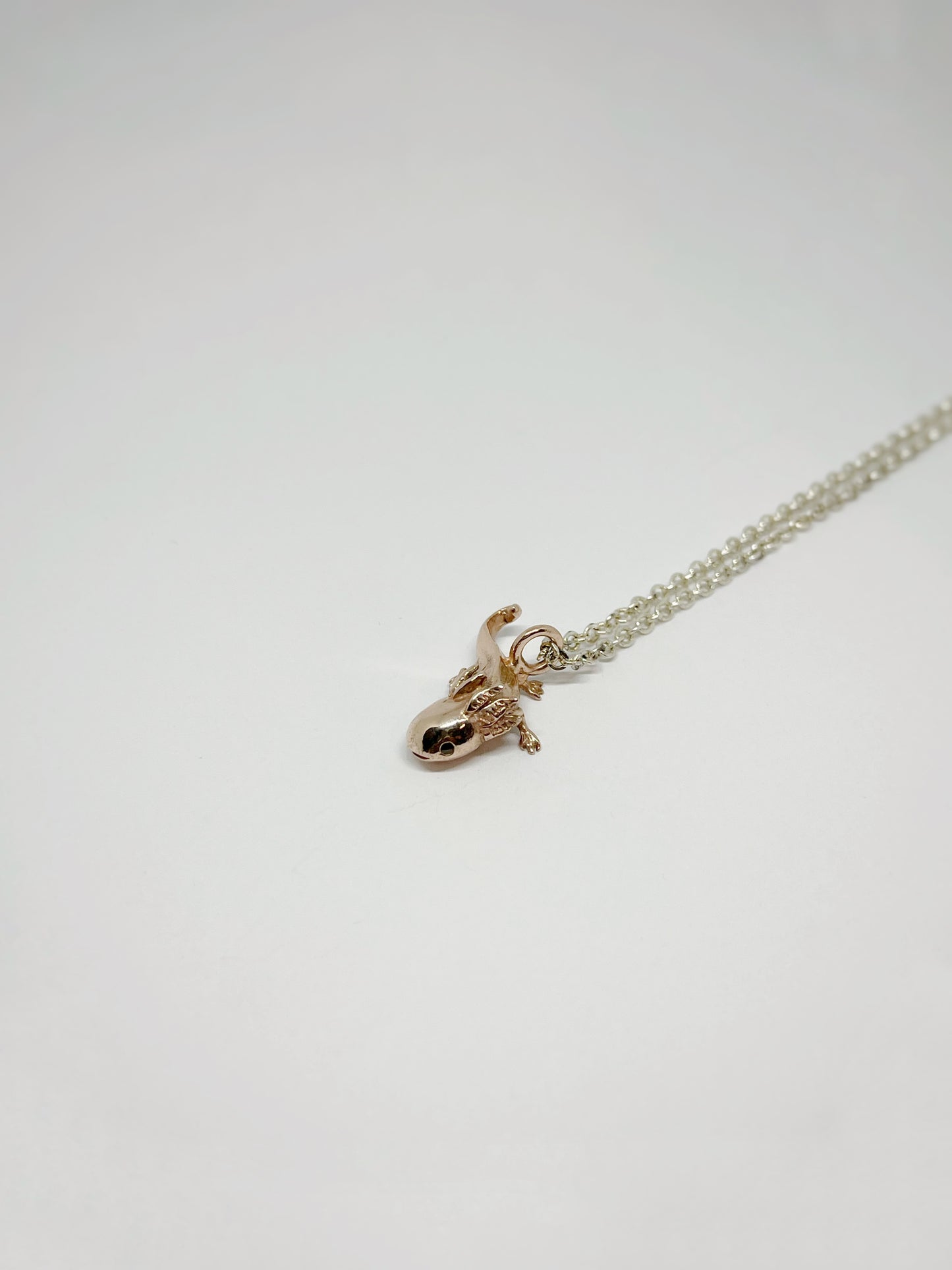 Collar Ajolote
