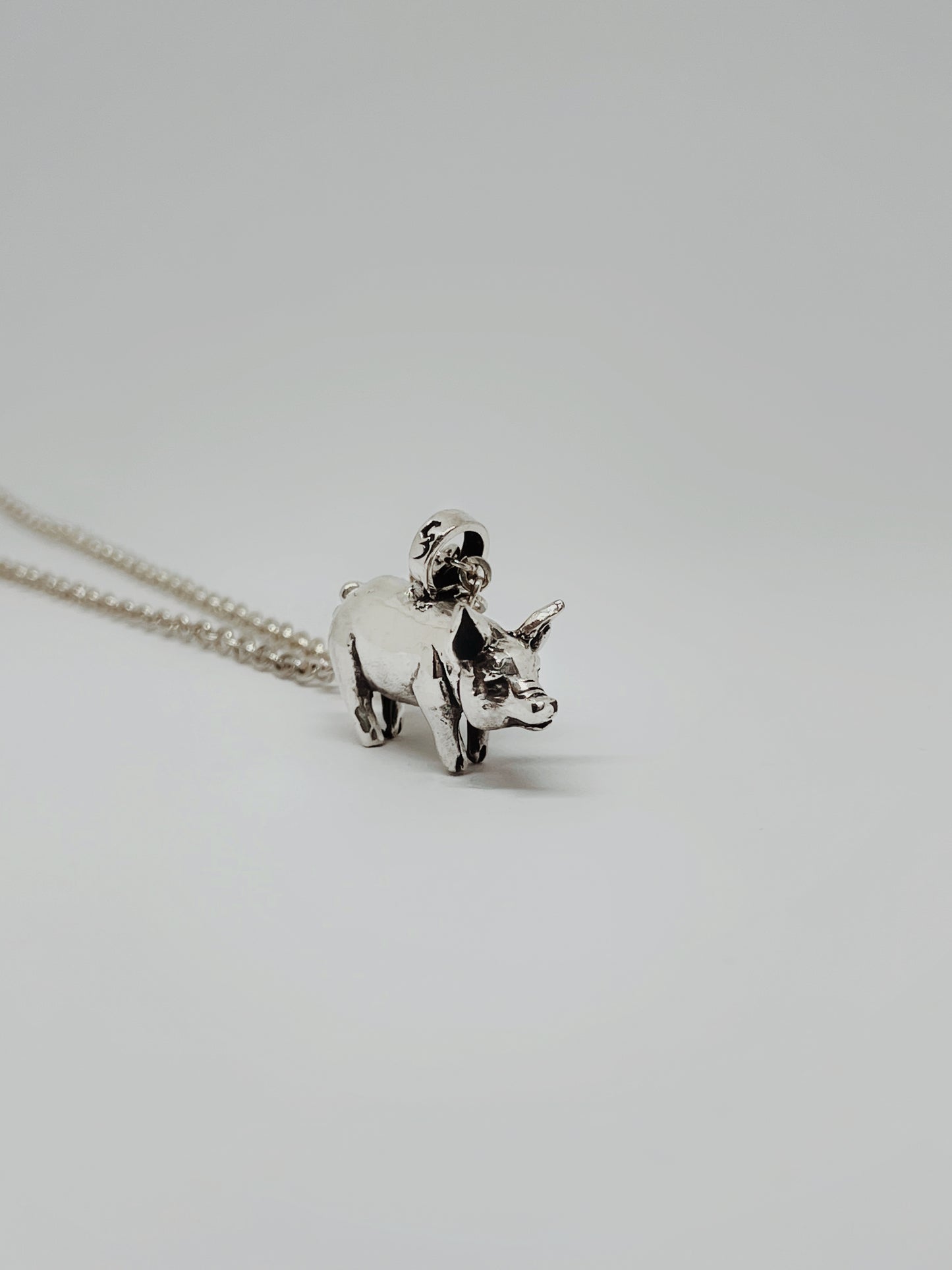 Collar Cerdo