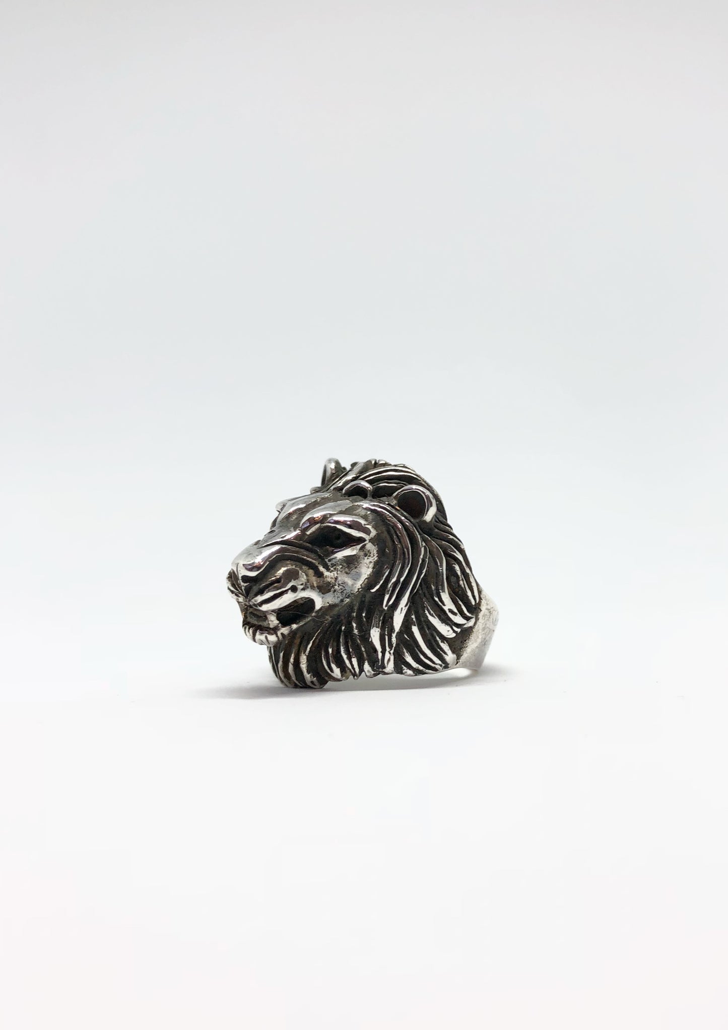 Anillo León