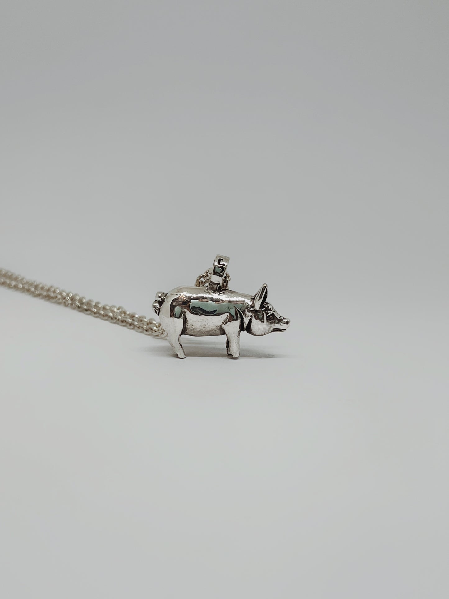 Collar Cerdo