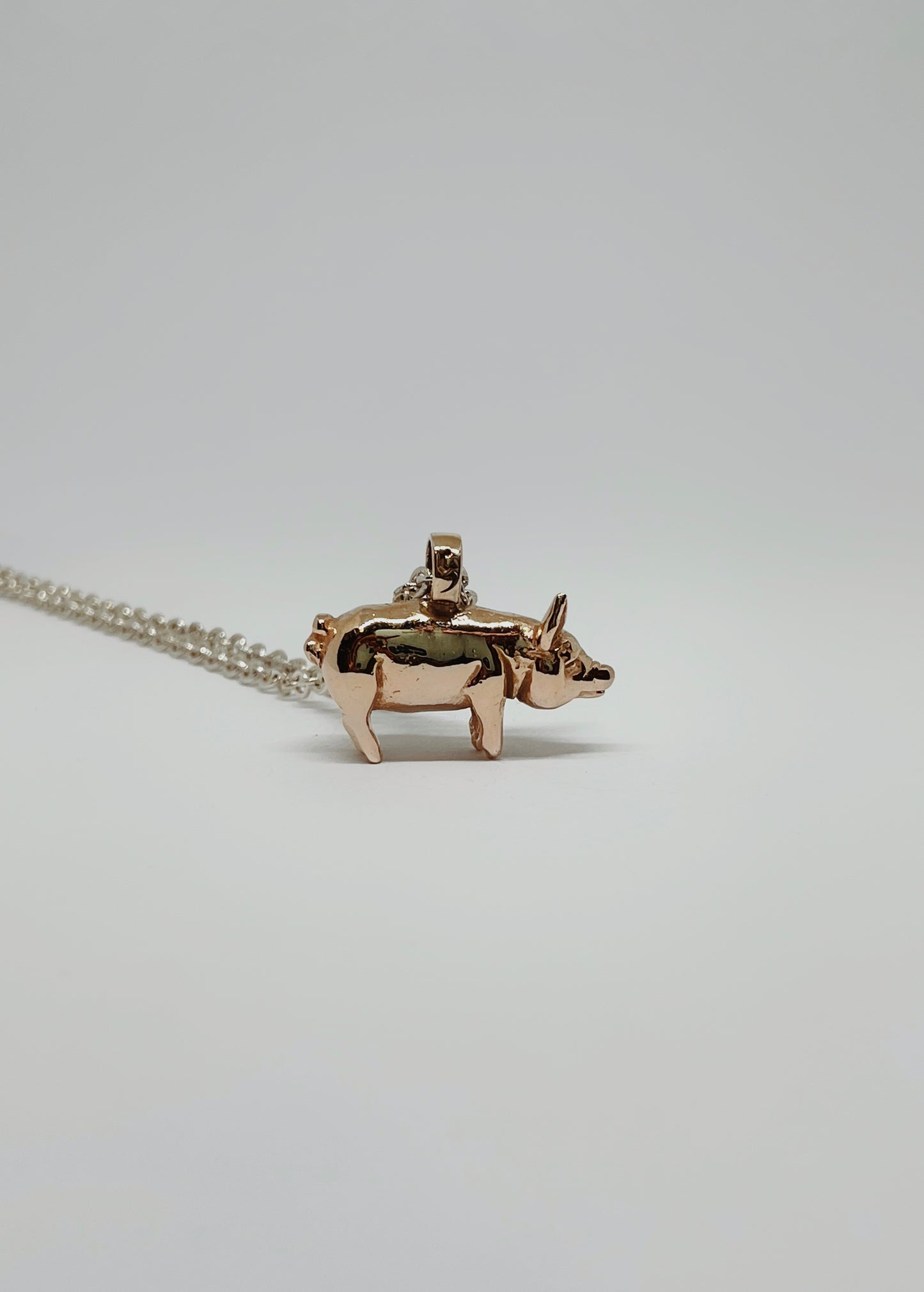Collar Cerdo