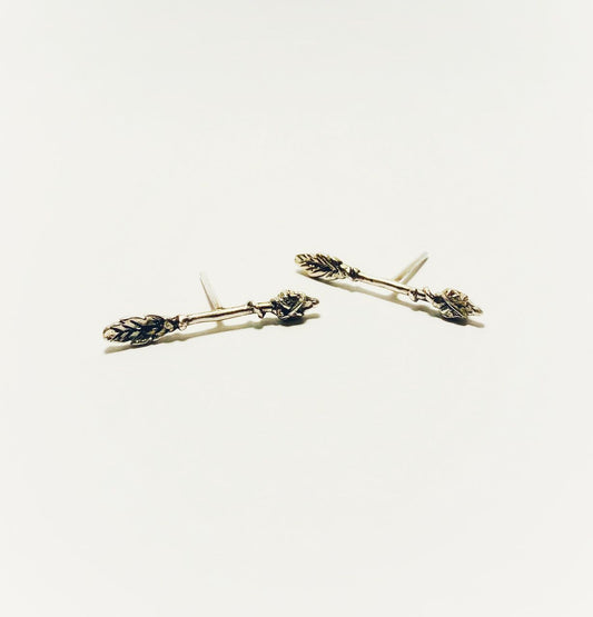 Par de Aretes de Flecha
