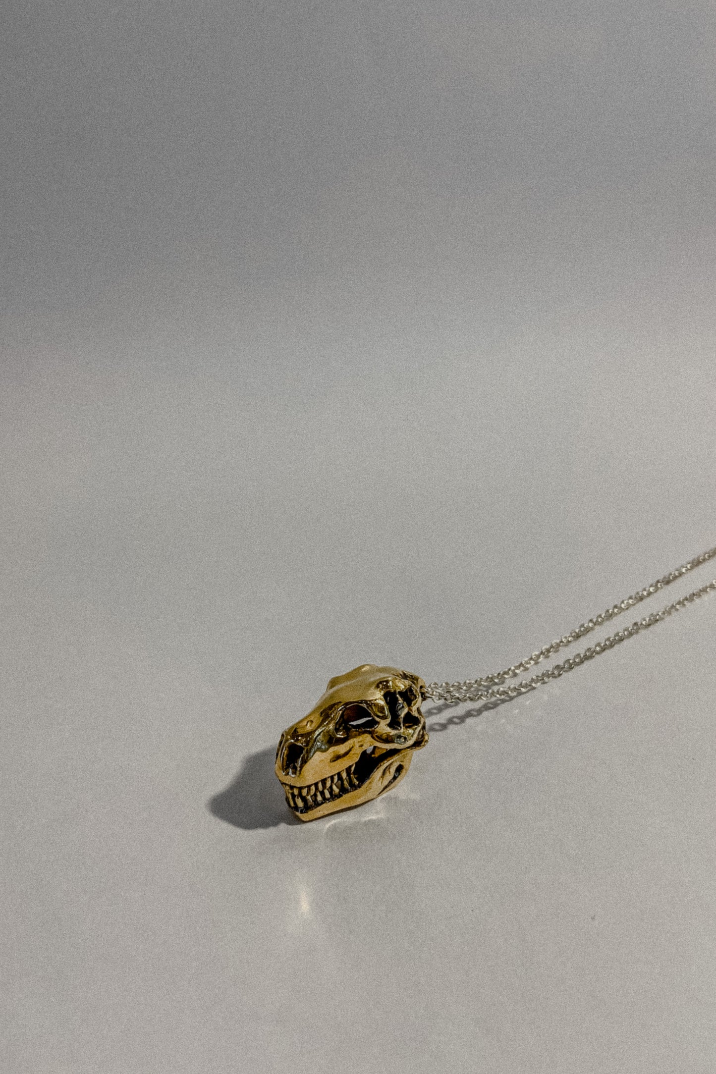 Collar Cráneo de T-Rex Edición Especial Chapa de Oro